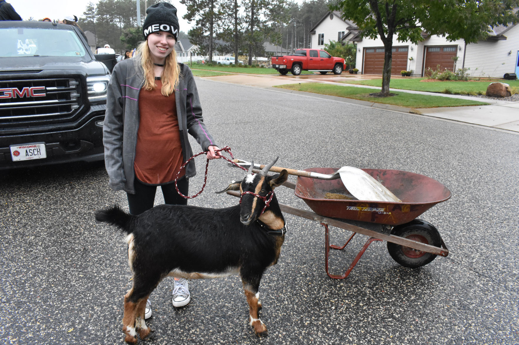 Homecoming goat